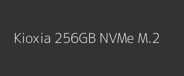 Kioxia 256GB NVMe M.2